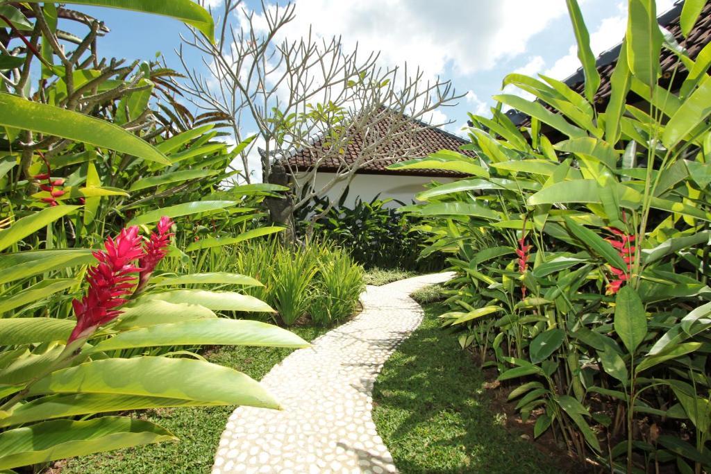 Bed and Breakfast Sunset Hill Ubud Camera foto