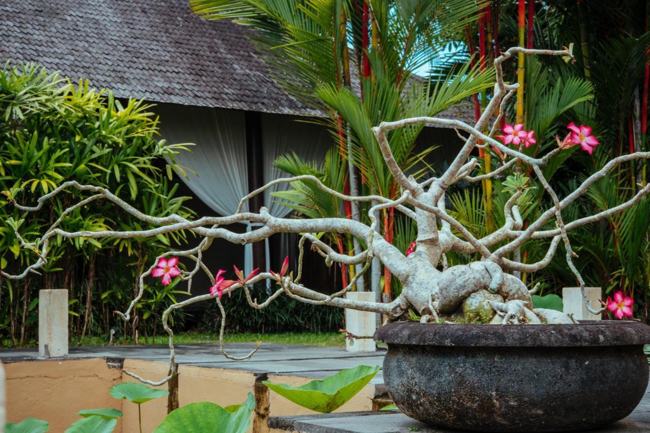 Bed and Breakfast Sunset Hill Ubud Esterno foto