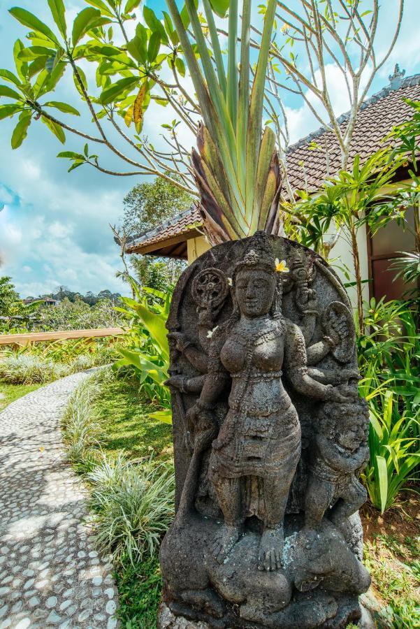 Bed and Breakfast Sunset Hill Ubud Esterno foto