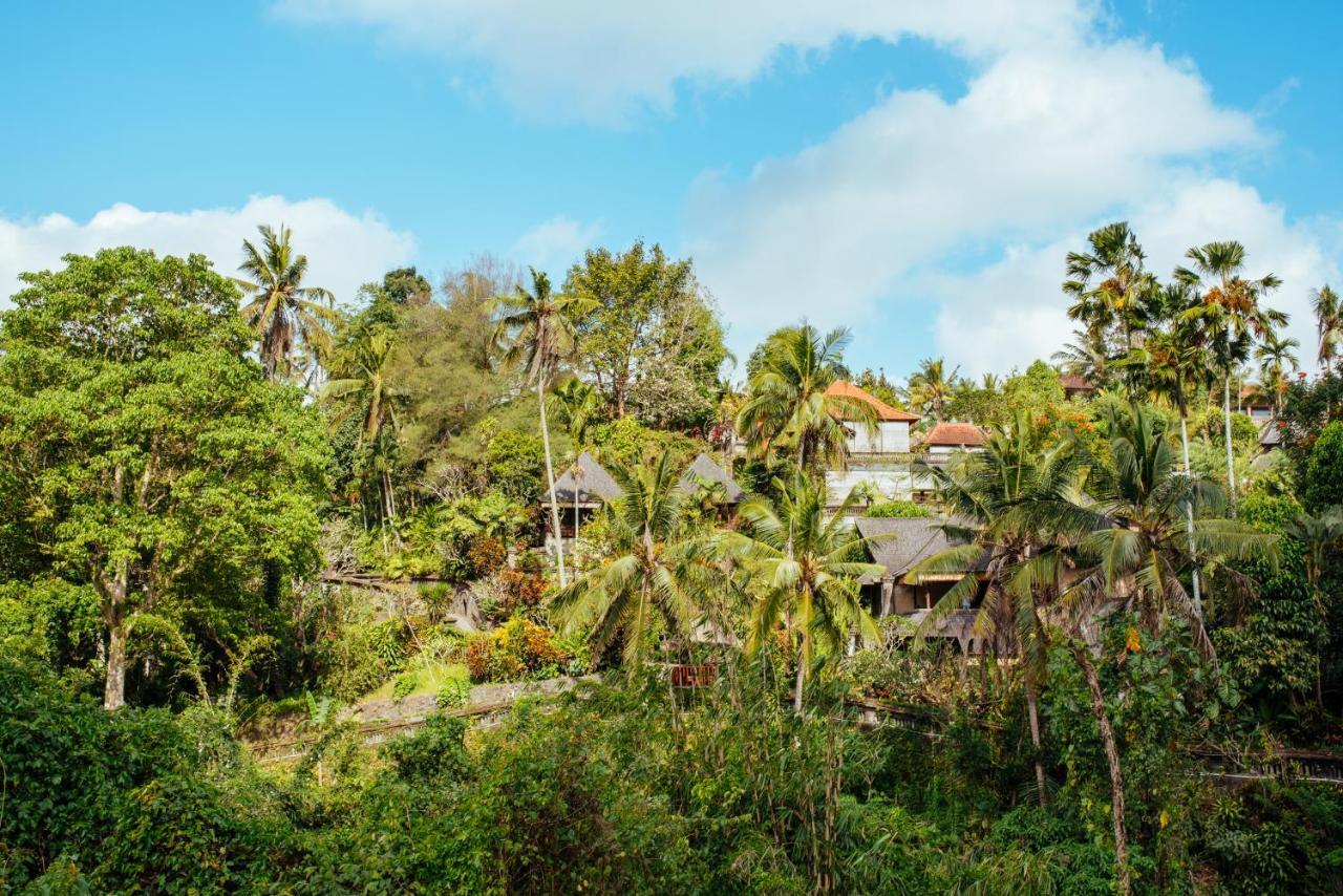 Bed and Breakfast Sunset Hill Ubud Esterno foto